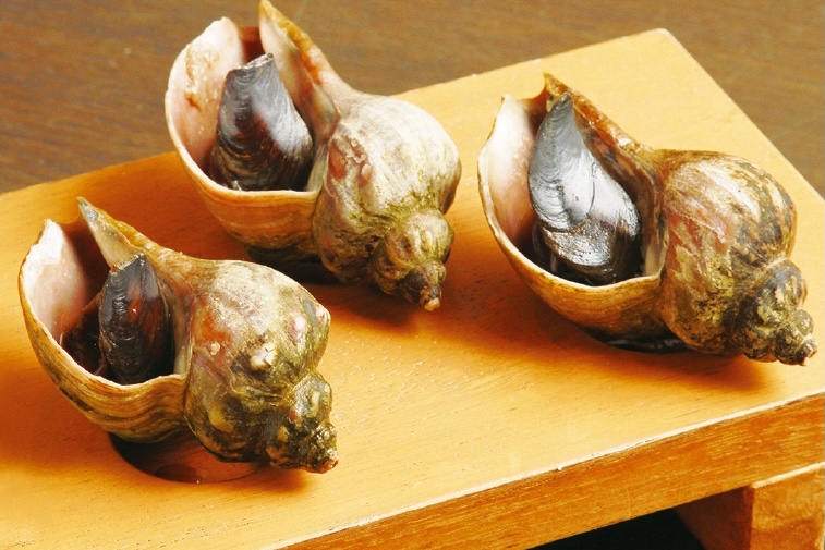 炉ばた居酒屋はたご家お料理